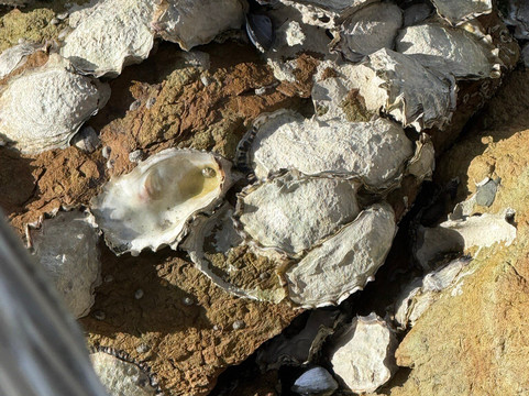 Bruny Island Quarantine Station-布鲁尼岛必去景点