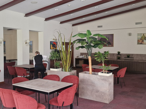 里贾纳酒店主图