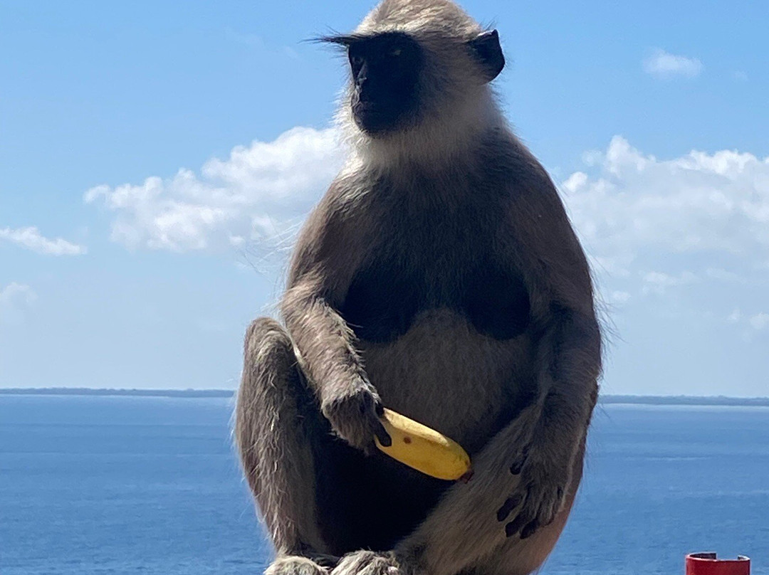 Sayura Travels Sri Lanka-Kinniya必去景点