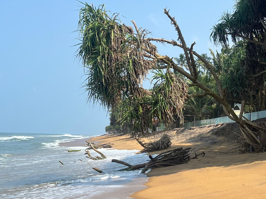 Kalutara Beach-卡卢特勒必去景点