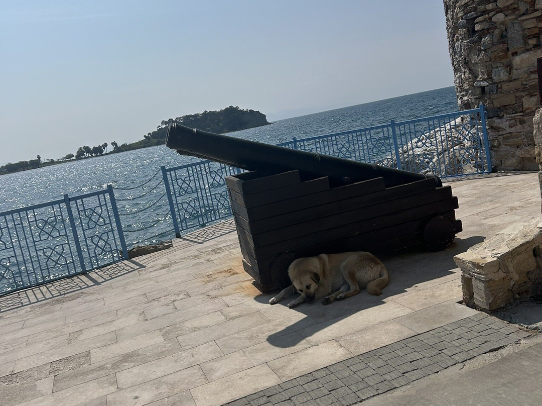 Kusadasi Castle-库萨达斯必去景点