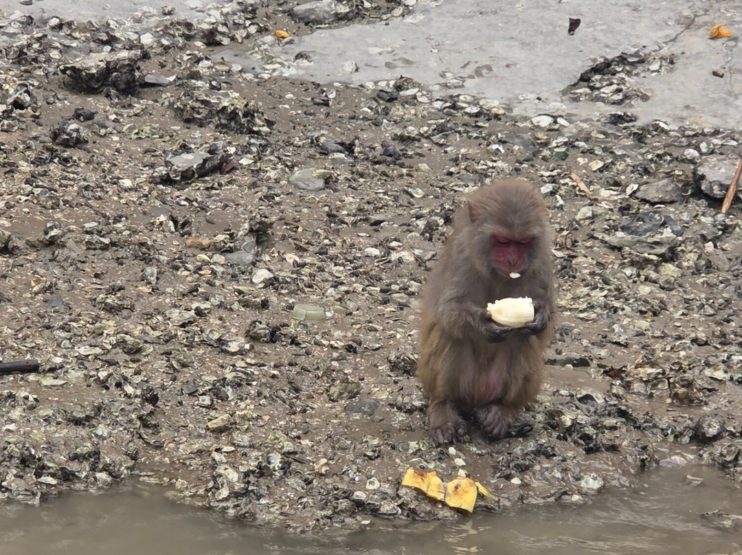 Go Vietnam Travel Agency-Tu Liem必去景点