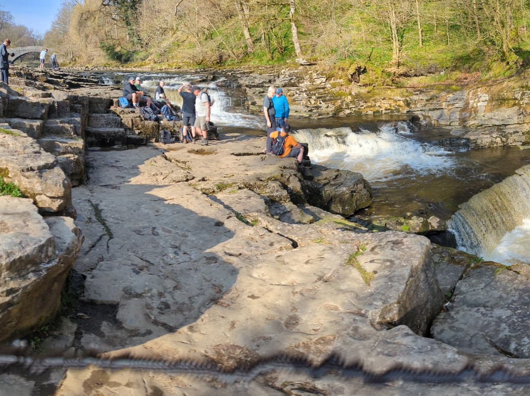 中央史塔佛农场民宿主图