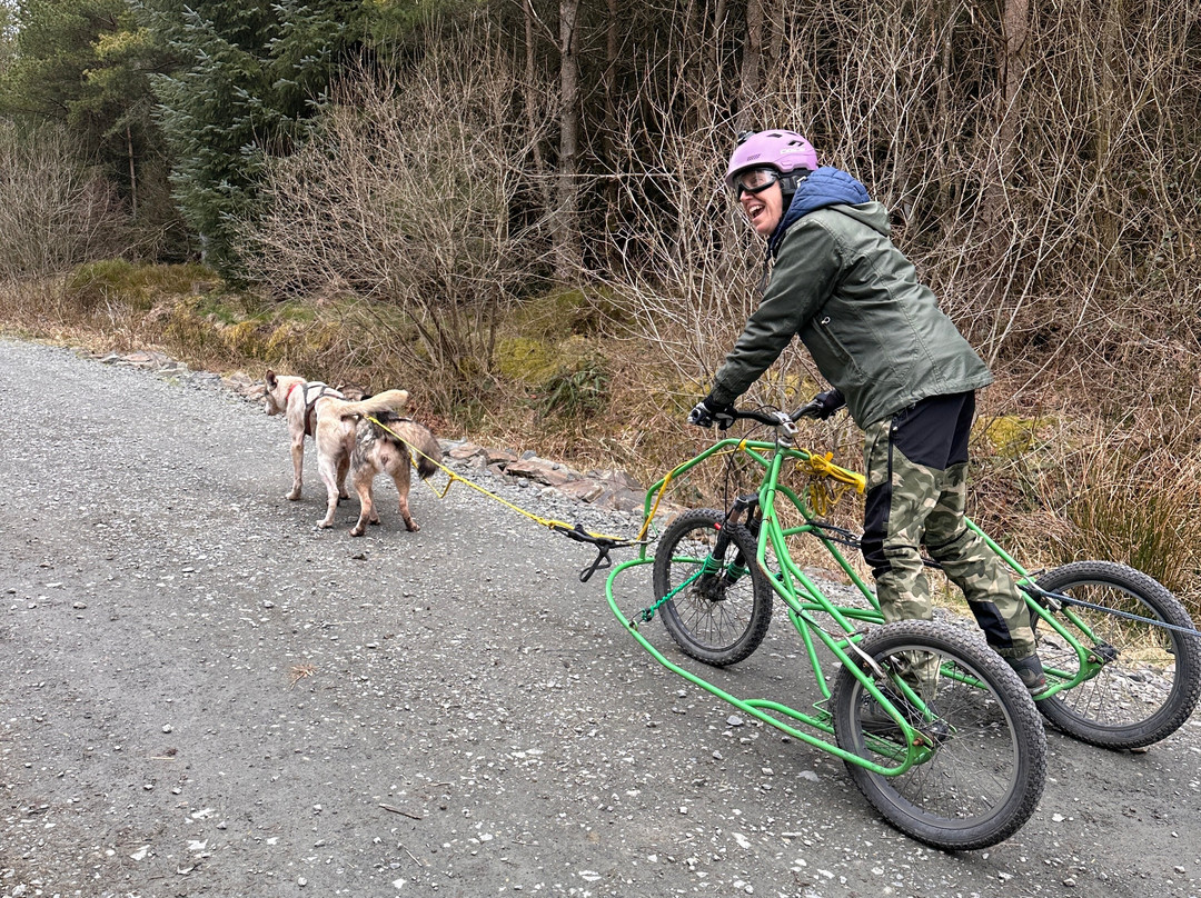 Mynydd Sleddog Adventures-Cerrigydrudion必去景点