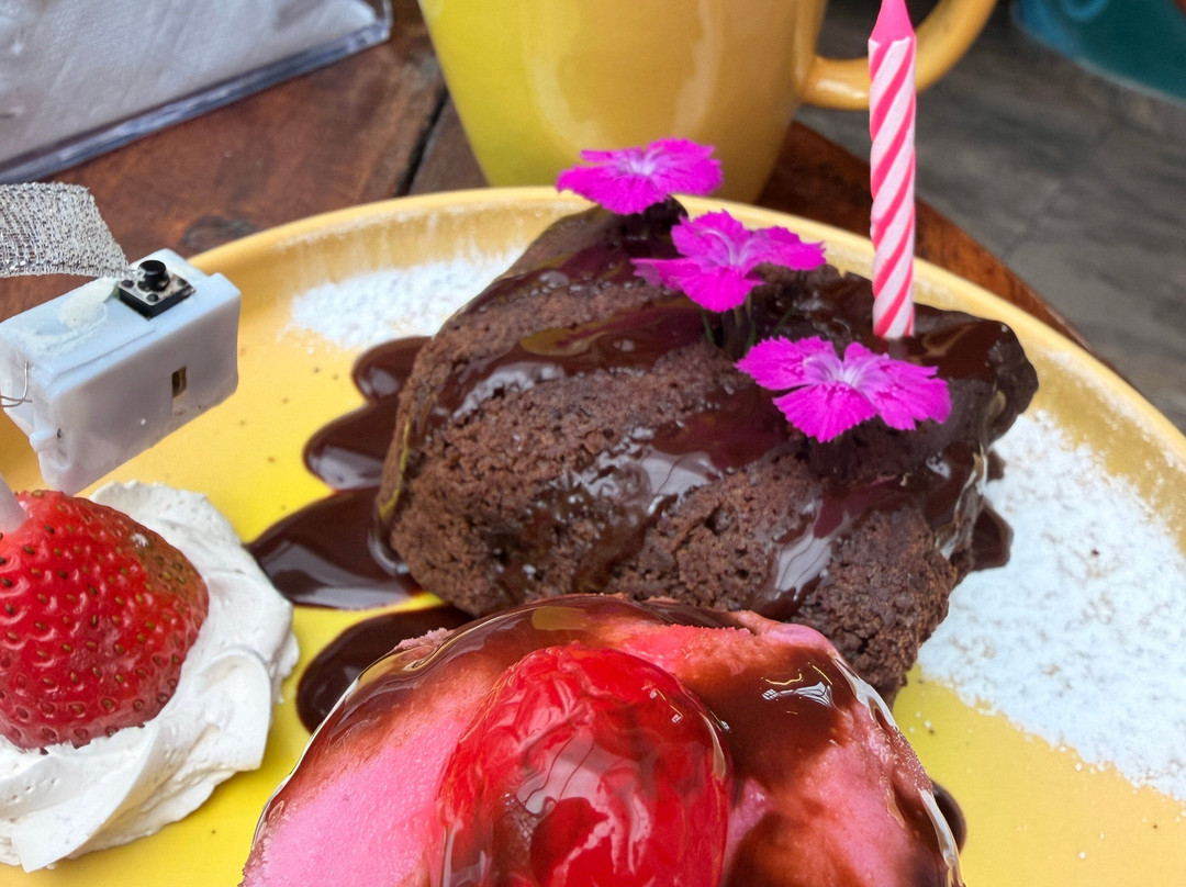 Vegan Bambú