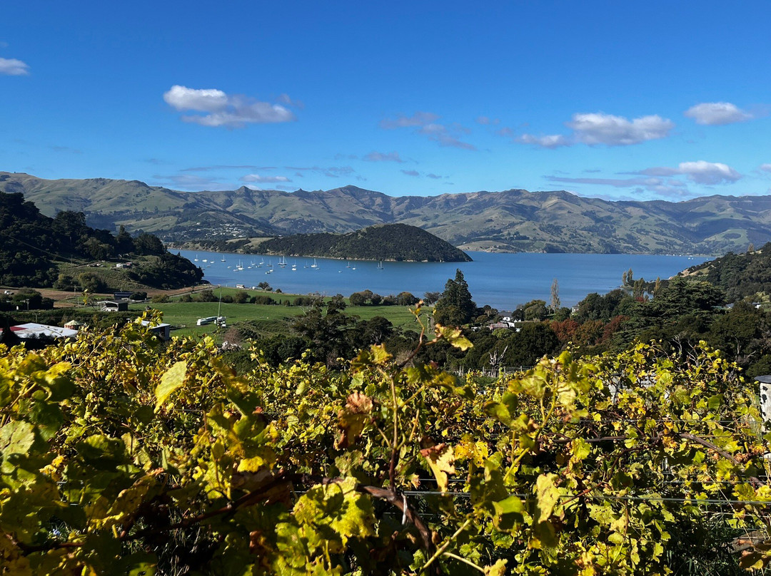 French Peak Vineyard-阿卡罗阿必去景点
