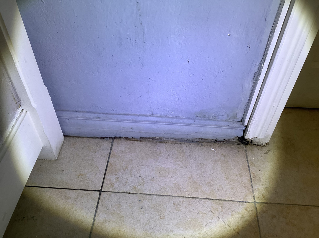 罗德里格斯可可提尔酒店主图