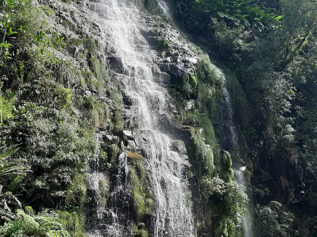 Trilha Do Rio Do Boi-Praia Grande必去景点