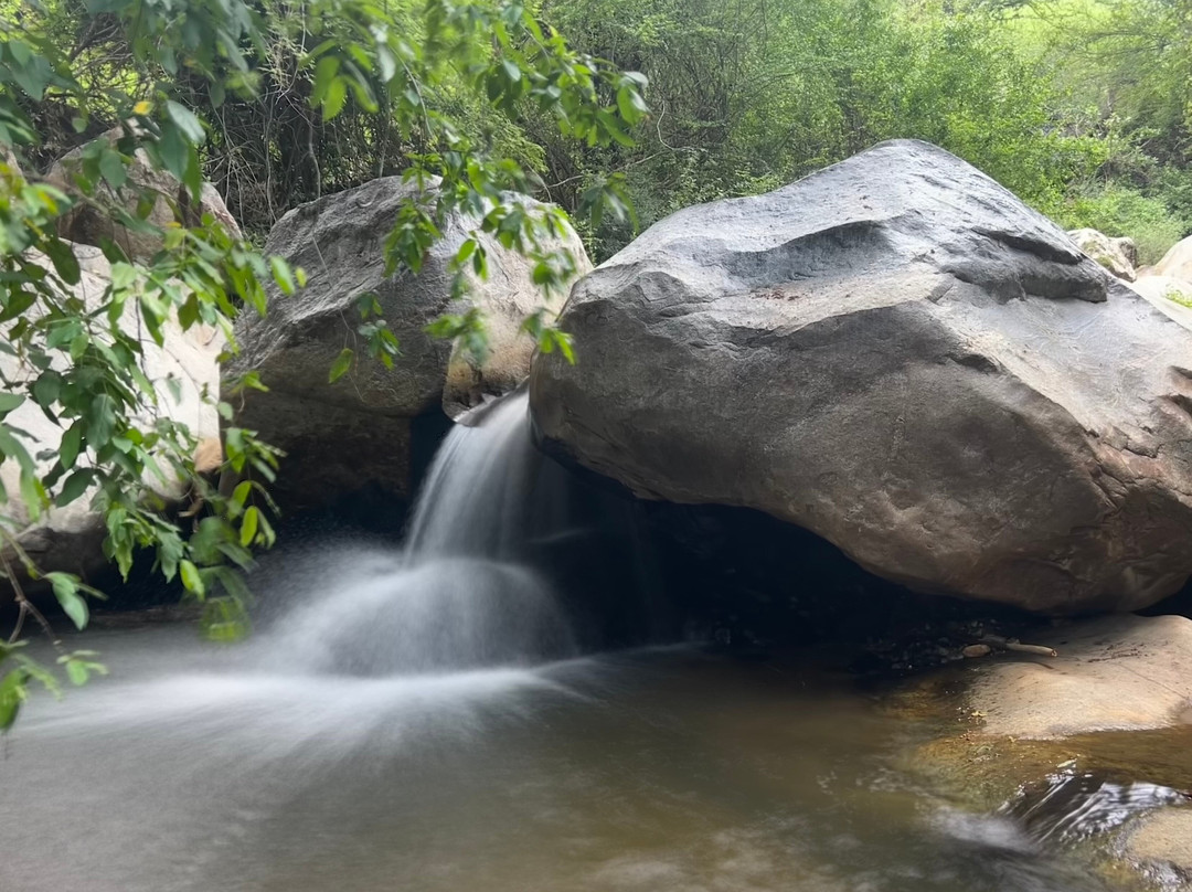African Quest Safaris-蒙巴萨必去景点
