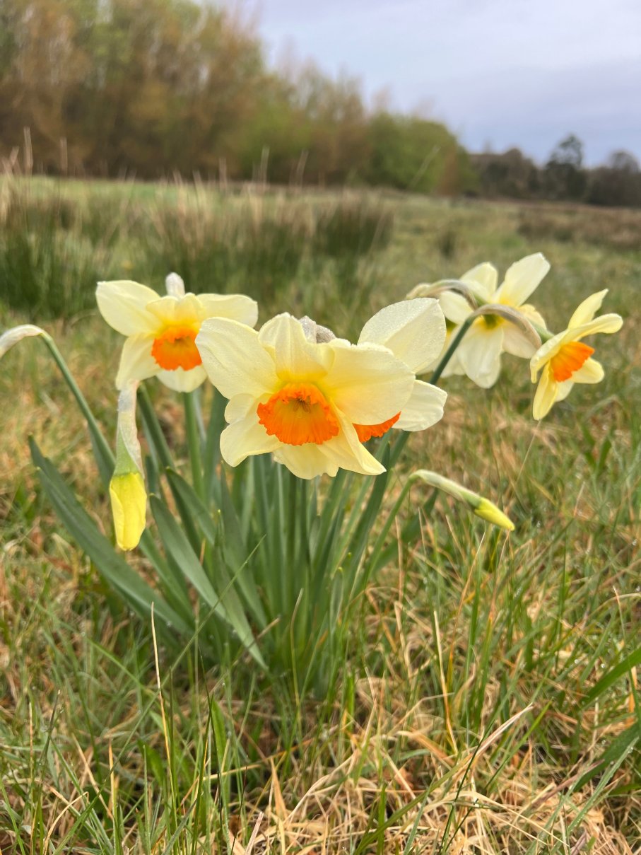 格里根城堡酒店-官方