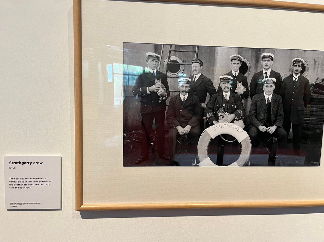 Jervis Bay Maritime Museum & Gallery-赫斯基森必去景点