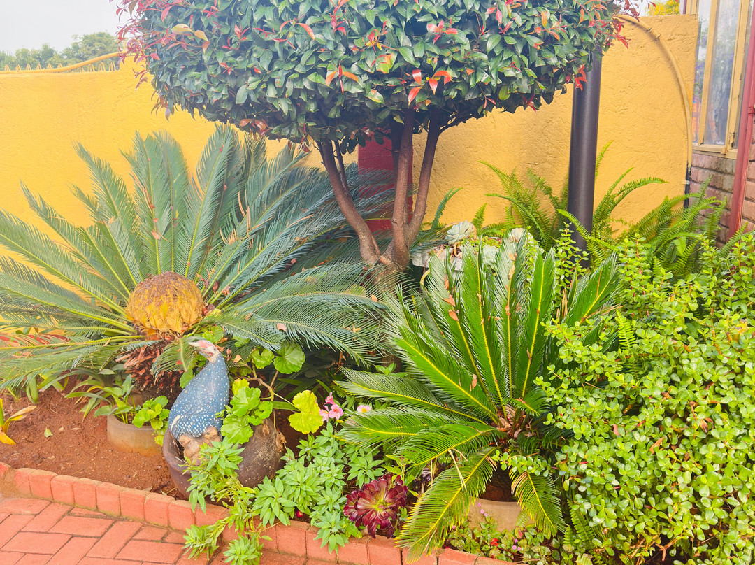 马尔勒住宿加早餐旅馆主图