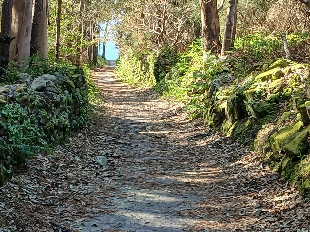 Santiago Ways-桑坦德必去景点