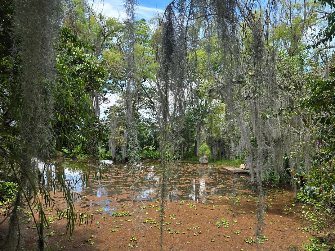 Eco Parque Conscientia Universallis-莱瓦镇必去景点