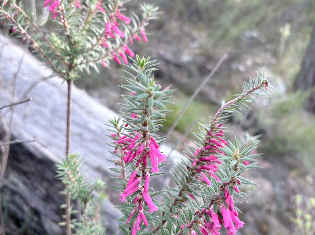 Chatauqua Peak-贺思盖必去景点