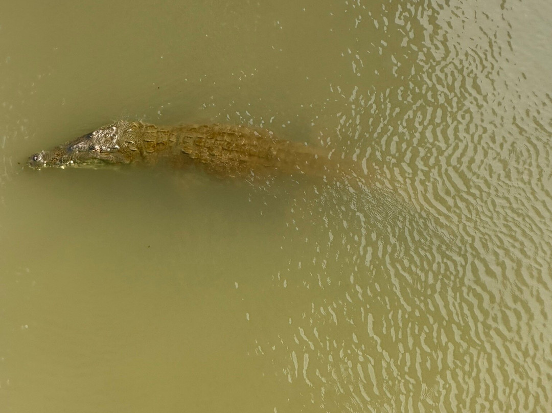 Tarcoles Bridge-Tarcoles必去景点