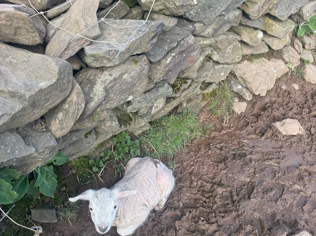 Fairyfort-丁格尔必去景点