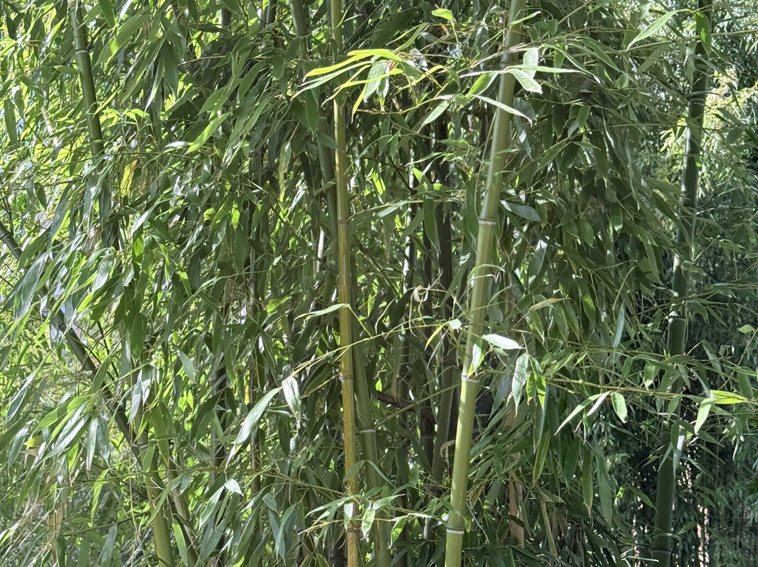 Parc De L'amitié-吕埃—玛尔梅松必去景点