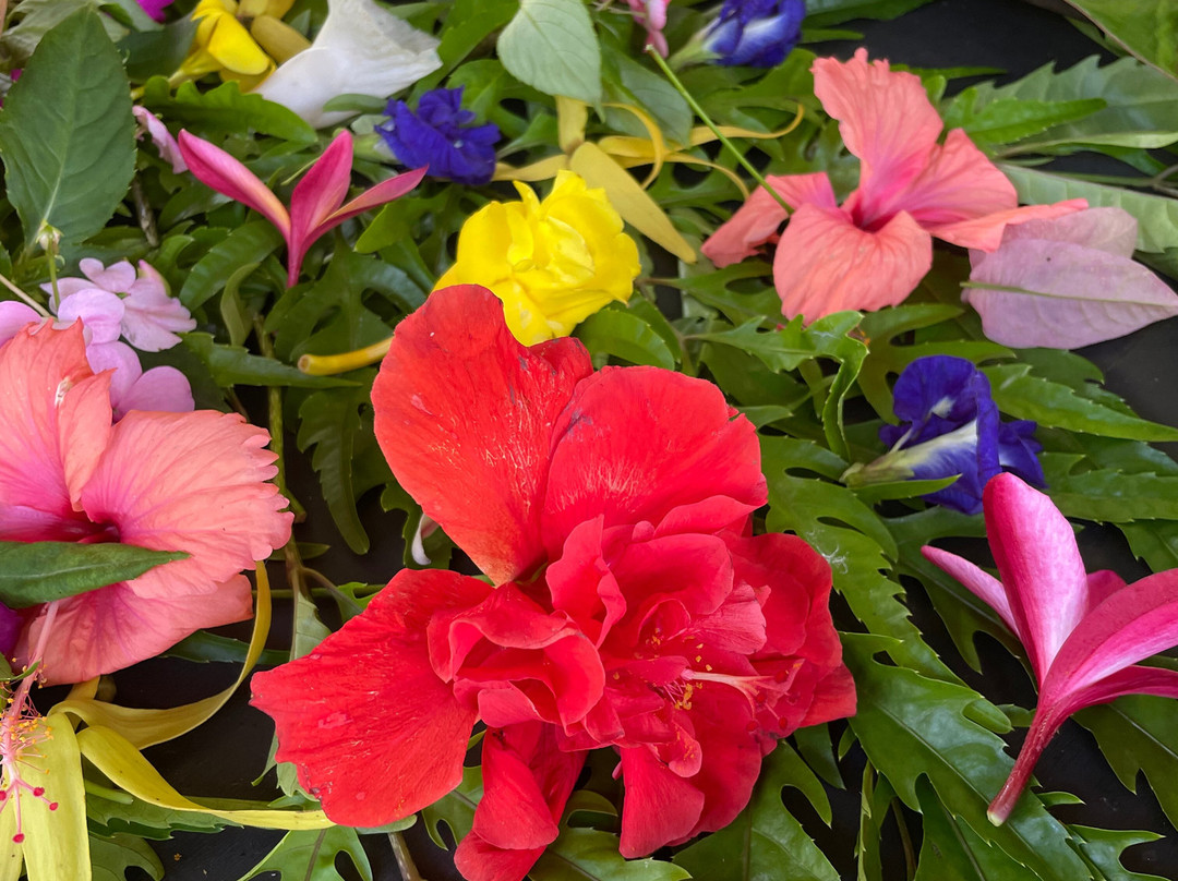 Afareaitu Waterfalls-Afareaitu必去景点