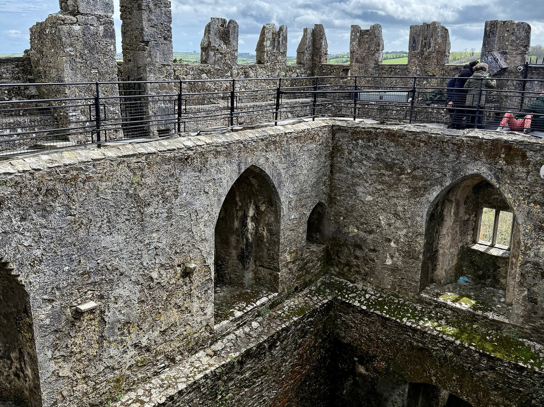 布拉尼城堡及花园-Blarney必去景点