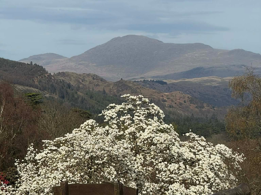 Muncaster Castle-Ravenglass必去景点