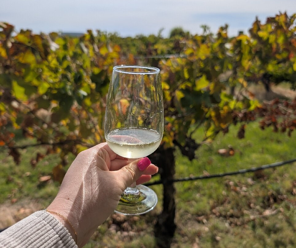 Out & About Wine Tours-珀斯必去景点
