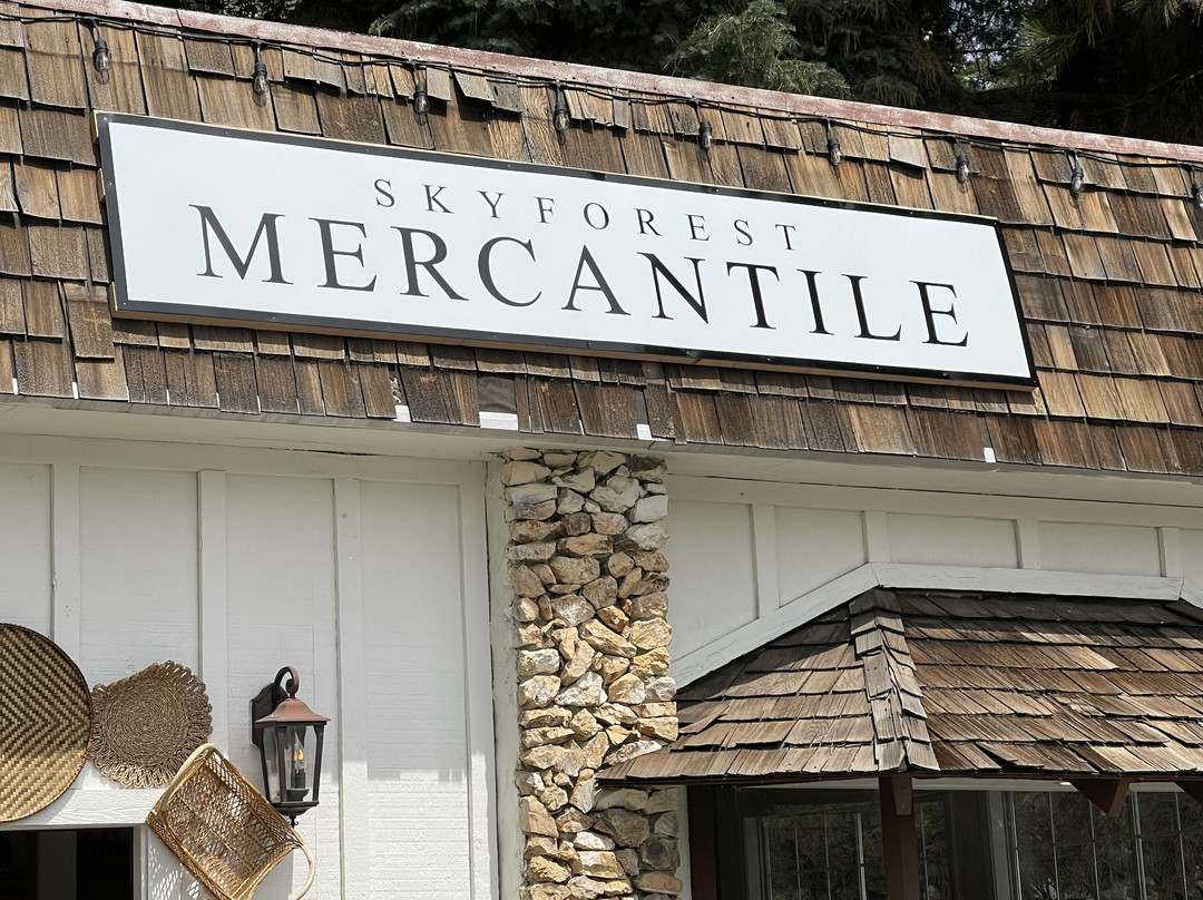 Skyforest Mercantile Home & Gift Store-Skyforest必去景点