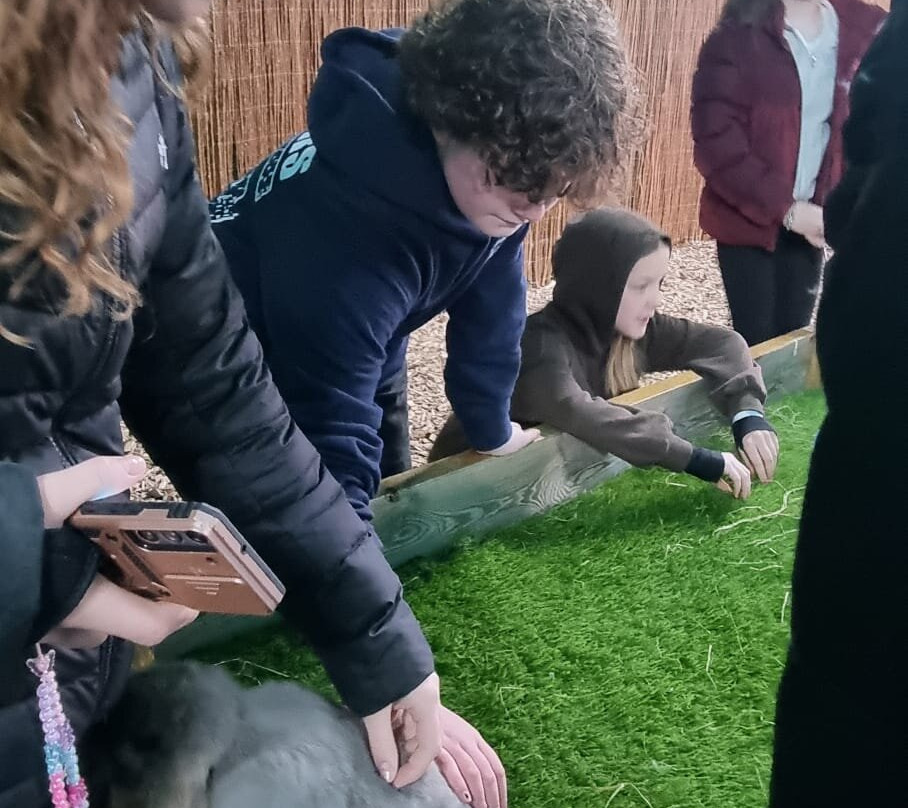 Manorafon Farm Park-Abergele必去景点