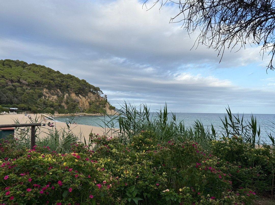Playa de Santa Cristina-犹兰特德玛必去景点