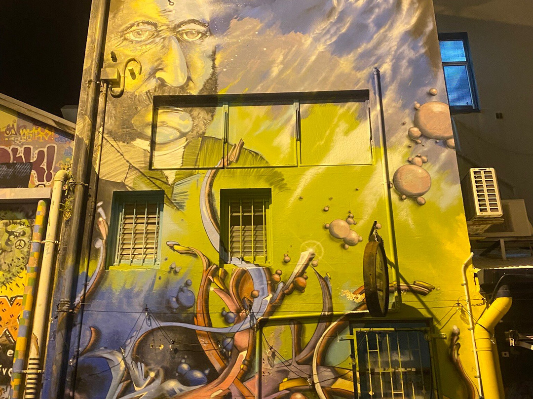 Street Art CBD Walking Trails-汤斯维尔必去景点