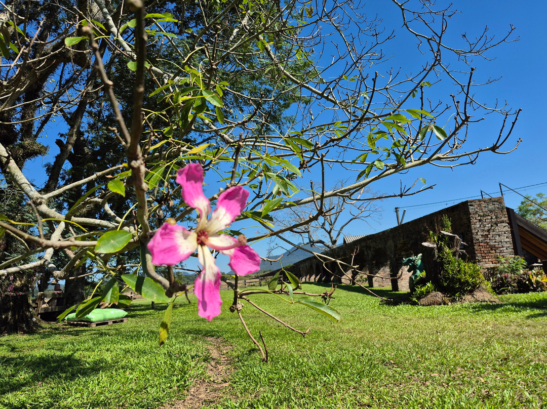 Aqueduto-Candelaria必去景点