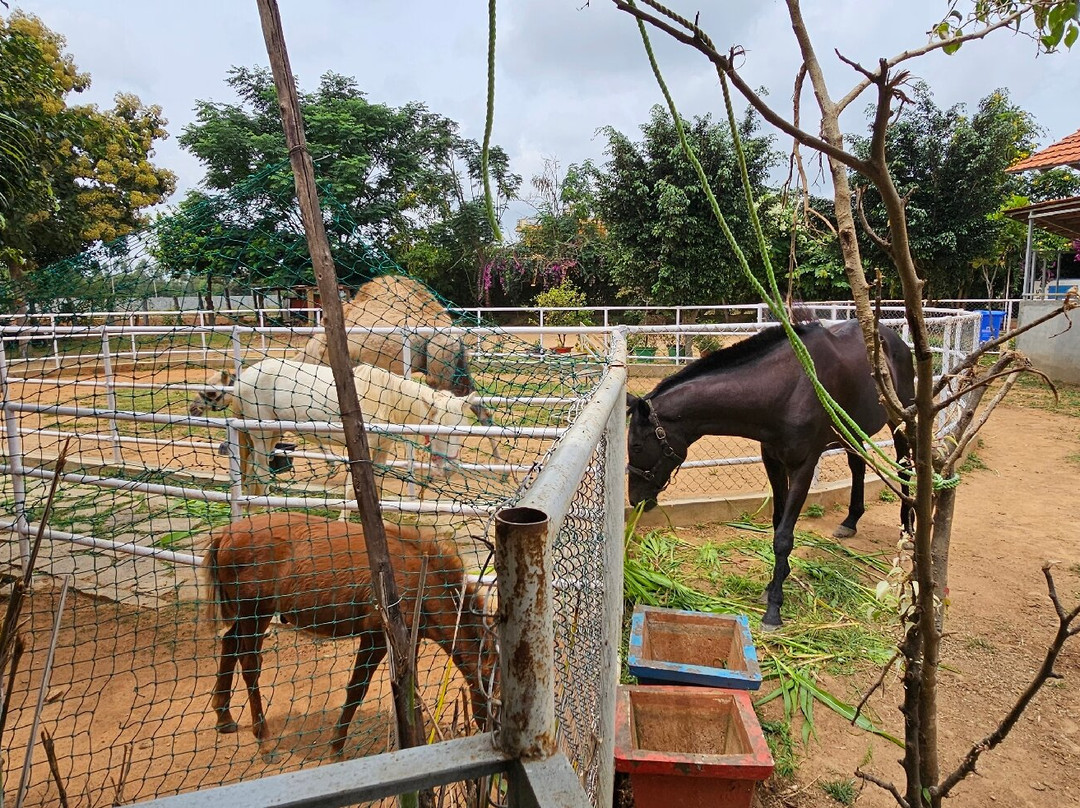 Picket Fence The Family Farm-Devanhalli必去景点