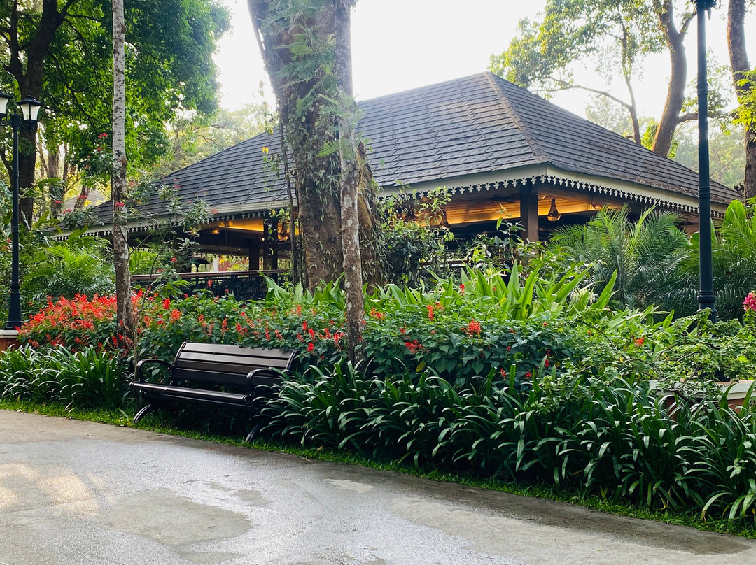 柯尔吉荒野度假村主图