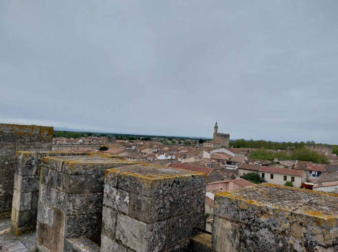 Towers and Ramparts of Aigues-Mortes-艾格莫尔特必去景点