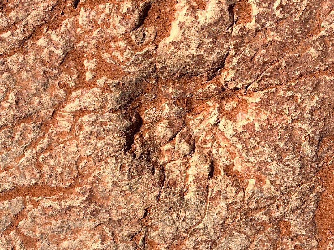 Red Cliffs National Conservation Area-圣乔治必去景点