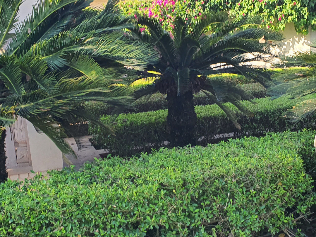 新昌迪加尔欧贝罗伊沙可维拉斯 SPA 度假村主图