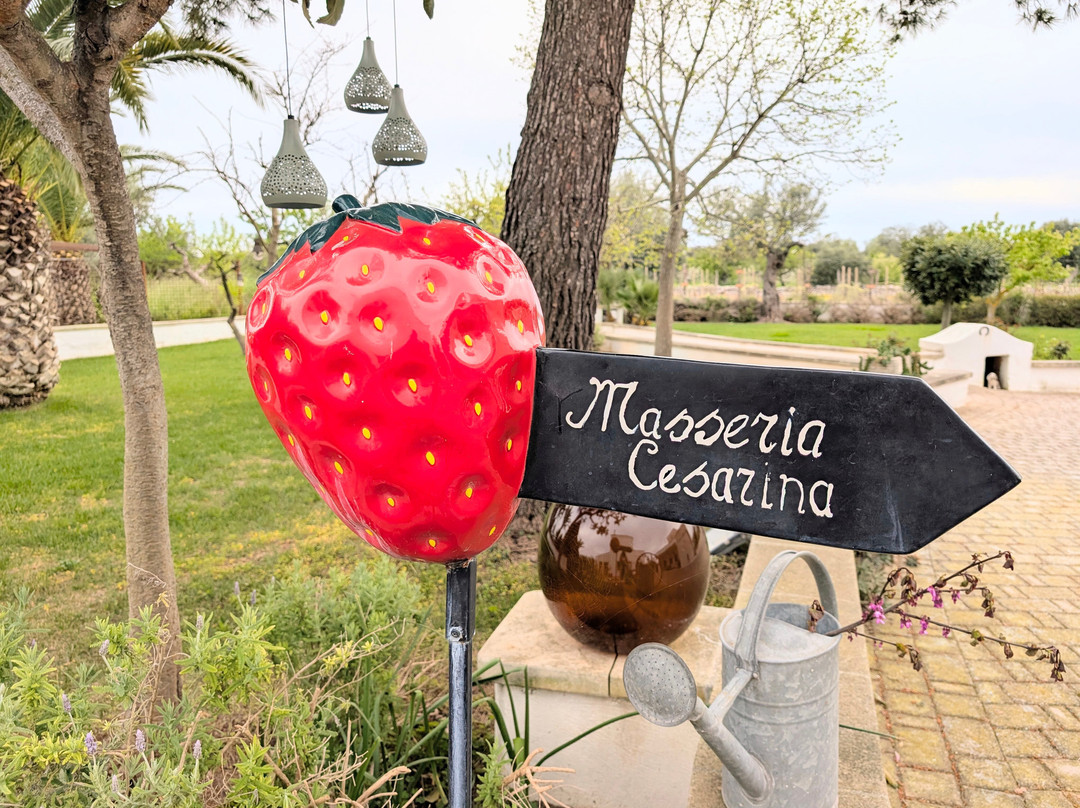 Masseria Cesarina B&B主图