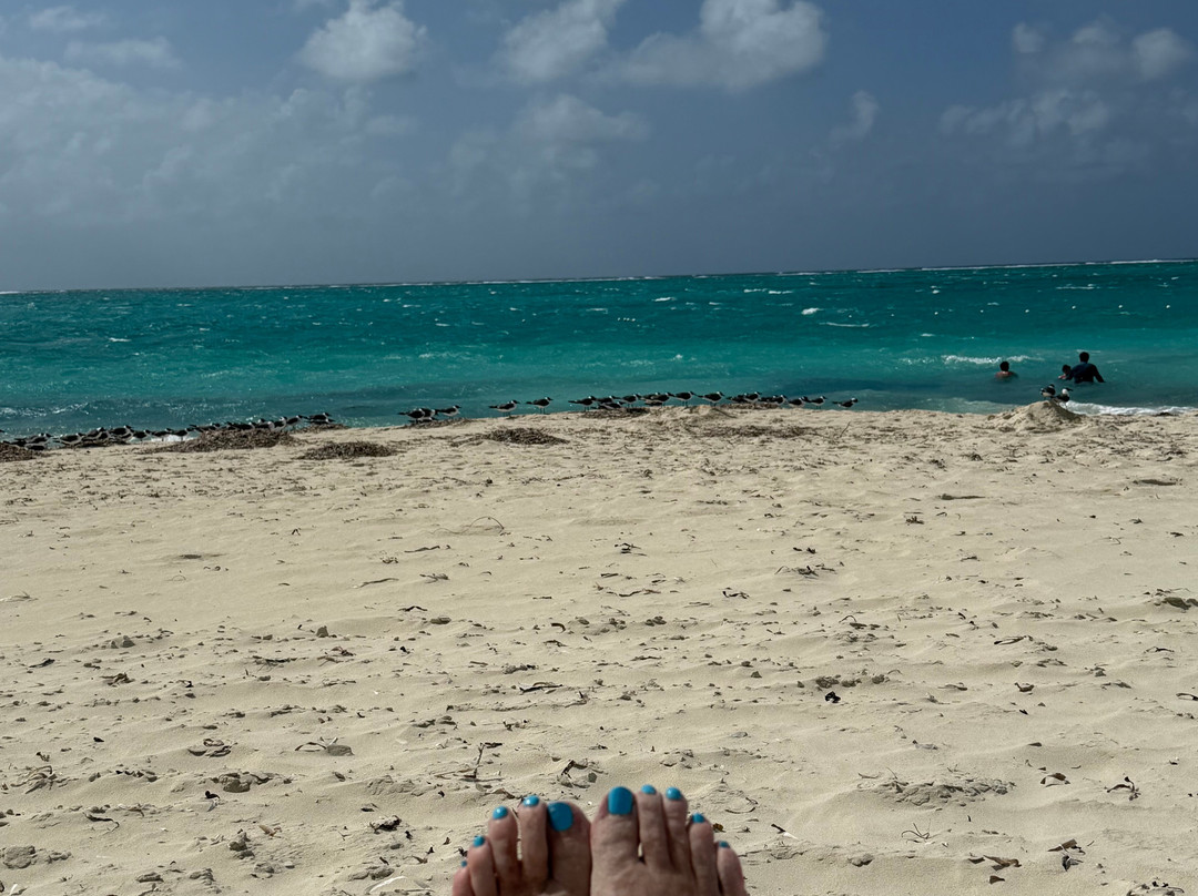 棕榈特克斯凯科斯酒店主图