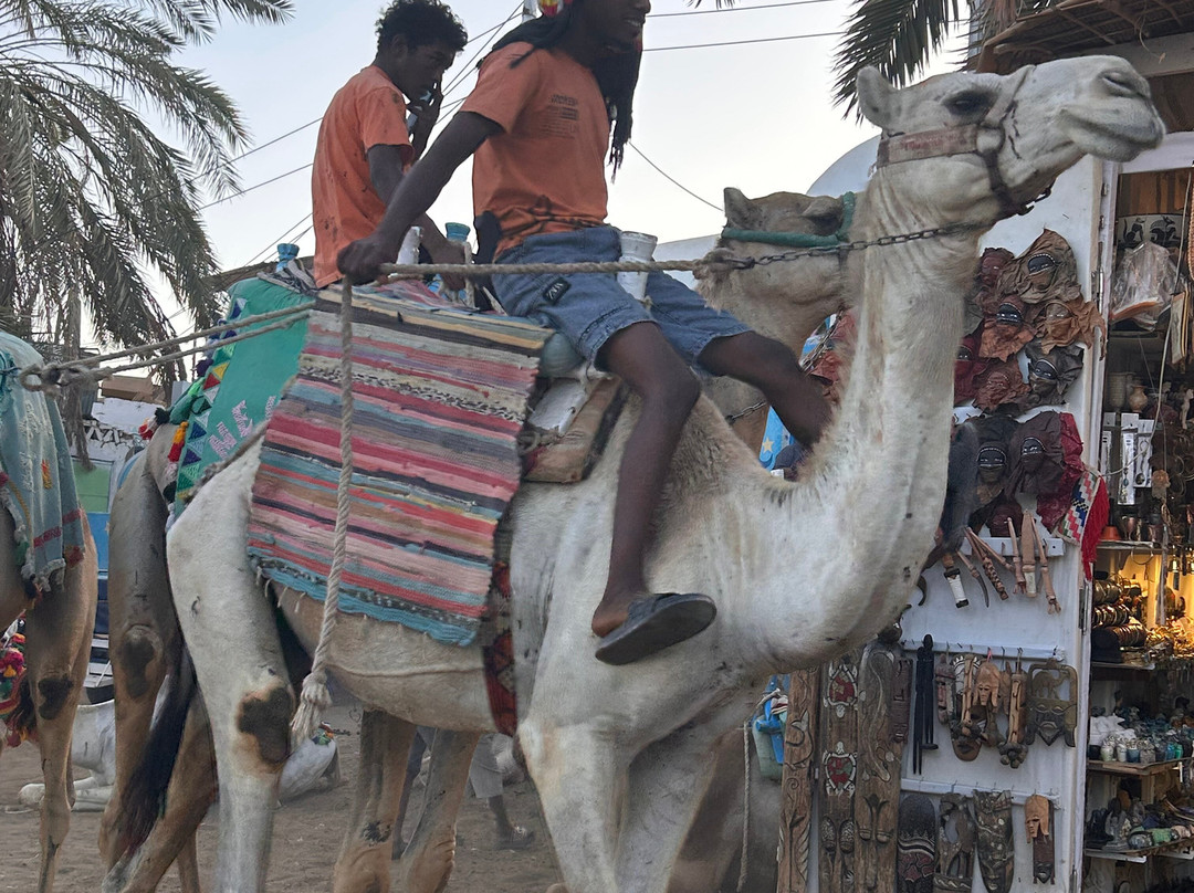 Mövenpick Ms Royal Lily Nile Cruise-卢克索必去景点