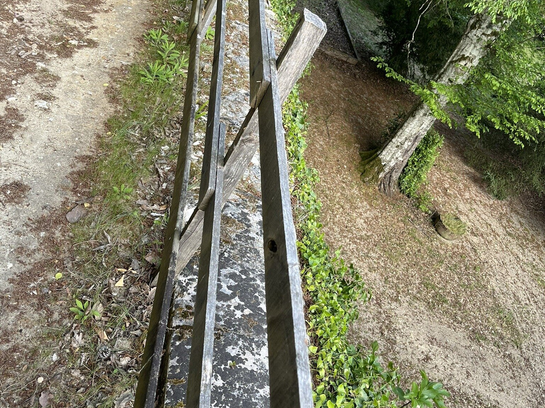 罗切科特城堡酒店主图