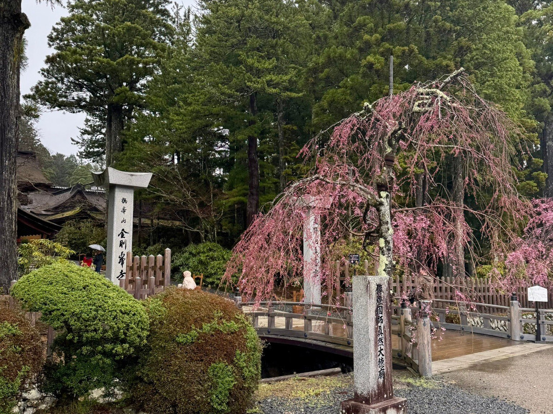 高野山-高野町必去景点