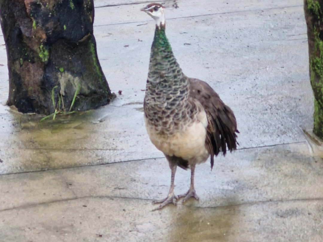 Parque Arvorar-Aquiraz必去景点