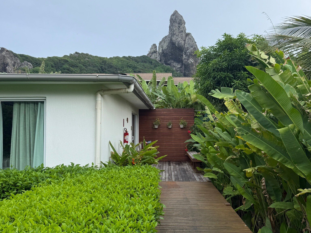 海豚酒店主图