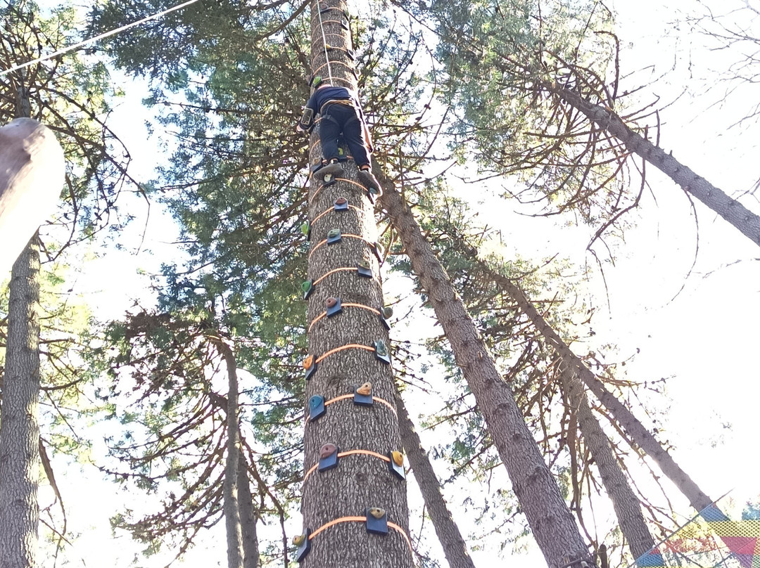 Parco Avventura Montevergine-Ospedaletto d'Alpinolo必去景点