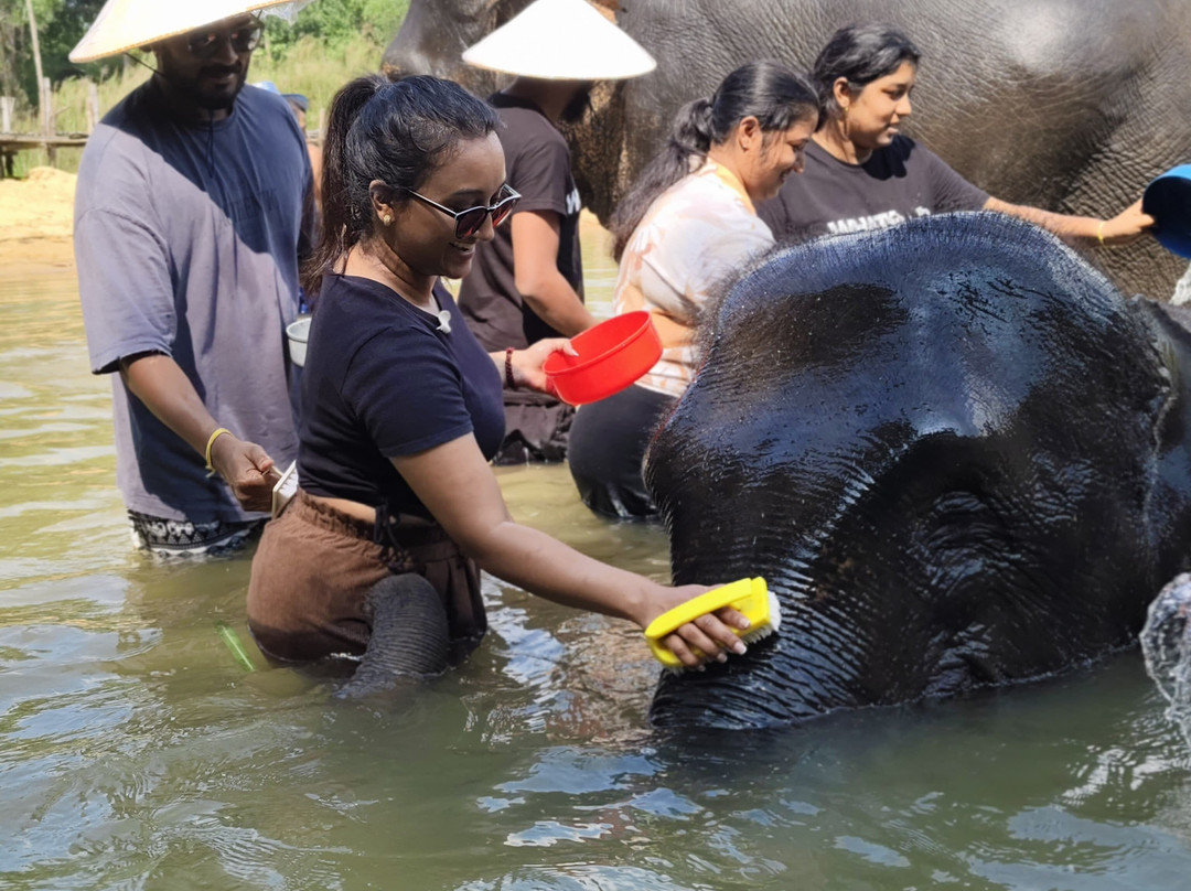 The Lake Phuket Elephant Home-Thep Krasatti必去景点