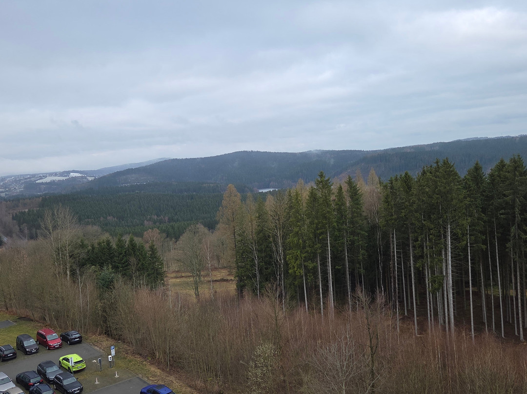 阿姆布尔酒店主图