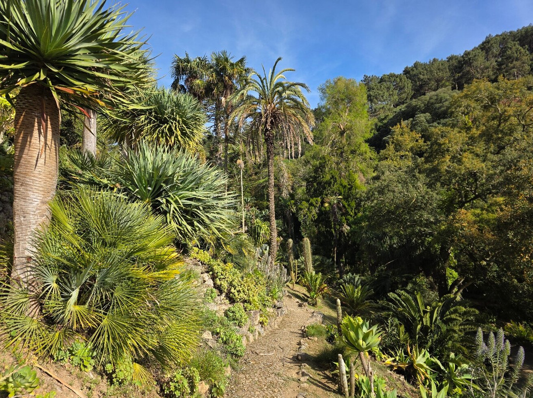 蒙塞拉特宫-辛特拉必去景点