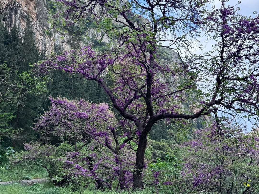 Greece Bird Tours-Marathon必去景点