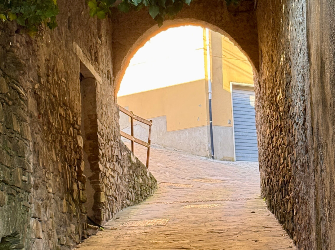 Il Giardino Segreto主图