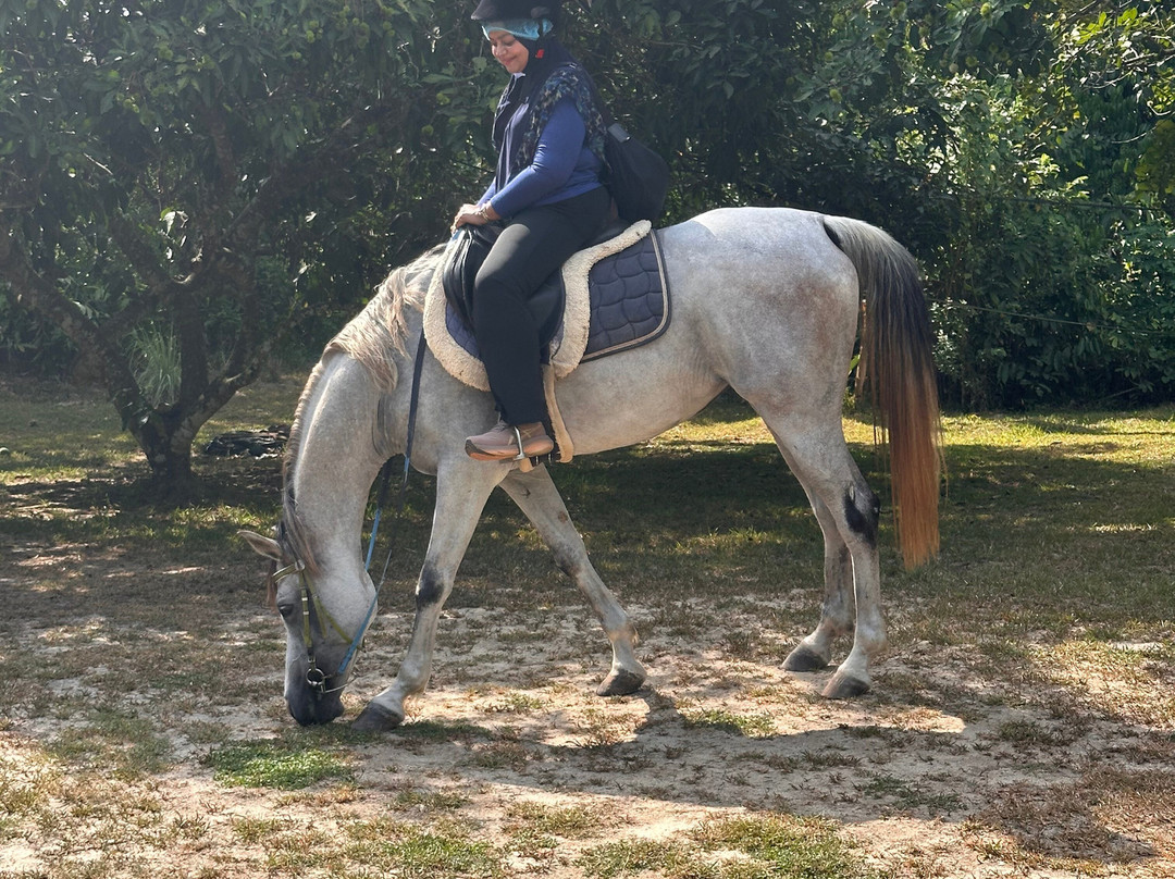 Prominent Stables & Recreation Sdn Bhd-浮罗山背必去景点